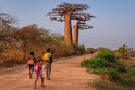 114 Baobab Avenue